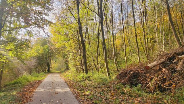 Das Kochertal zwischen Braunsbach und Döttingen | Foto: Ralf Röser