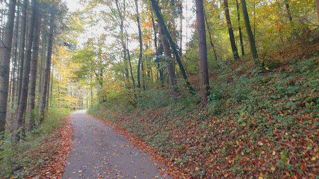 Das Kochertal zwischen Braunsbach und Döttingen | Foto: Ralf Röser