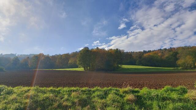 Das Kochertal zwischen Braunsbach und Döttingen | Foto: Ralf Röser
