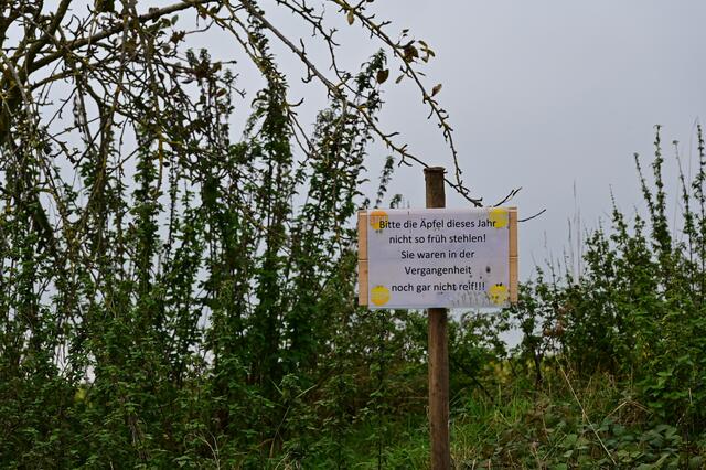Da hat jemand schlechte Erfahrungen gemacht.
 | Foto: Michael Harmsen