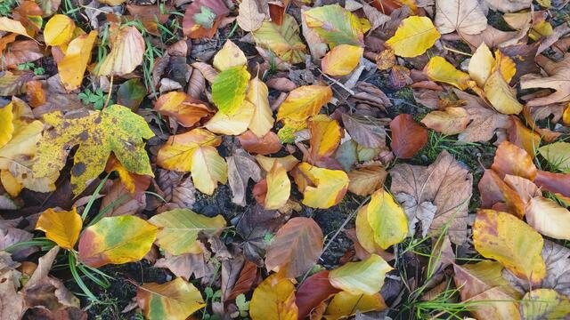 Das Kochertal zwischen Braunsbach und Döttingen | Foto: Ralf Röser