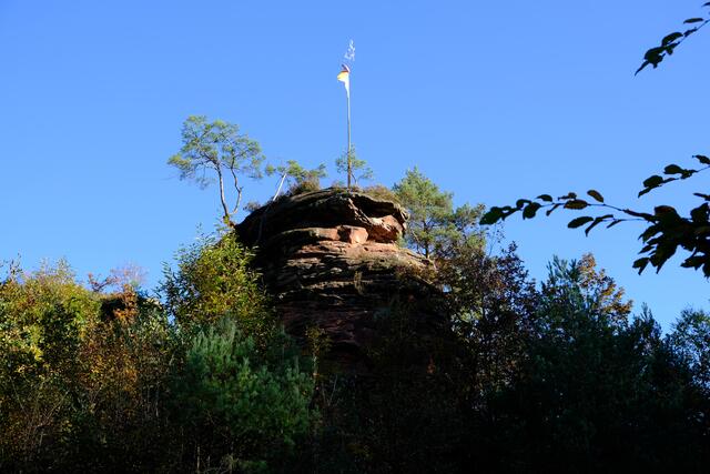 Foto: Eduard Warenik