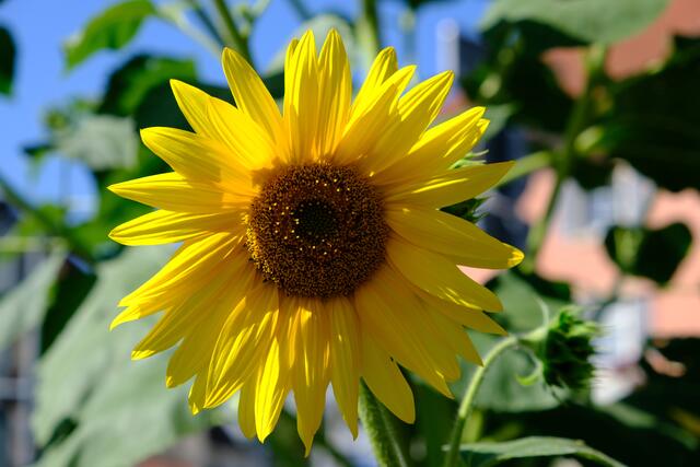 Foto: Eduard Warenik