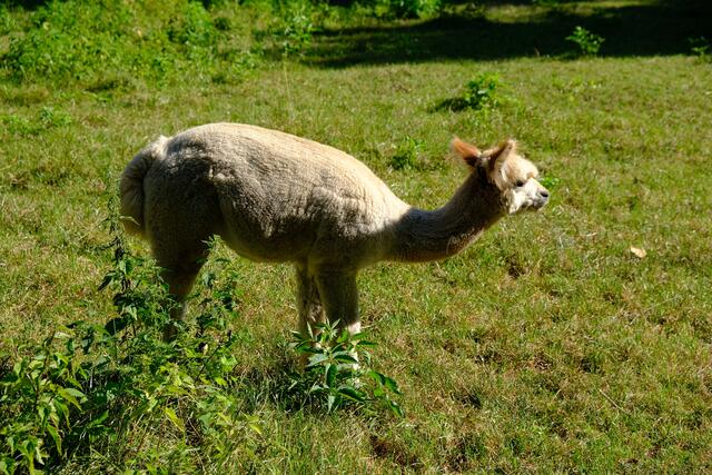 Foto: Eduard Warenik