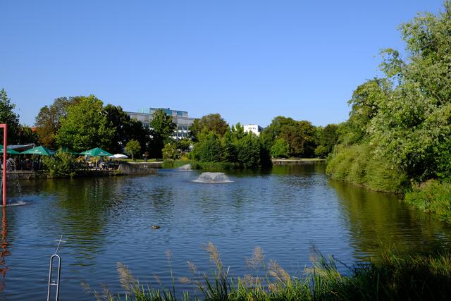 Foto: Eduard Warenik