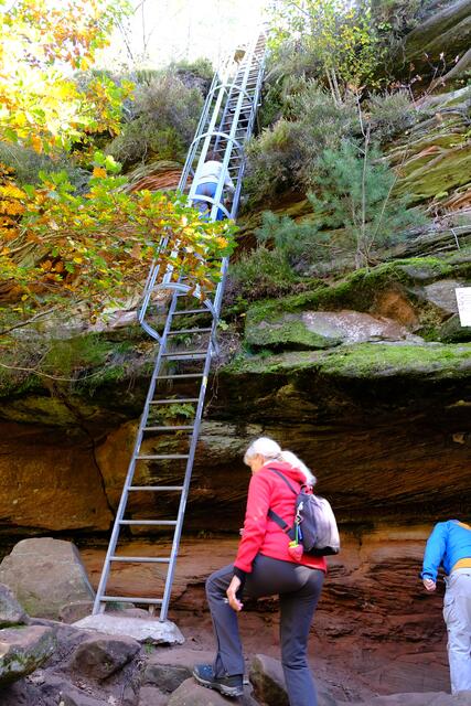 Foto: Eduard Warenik