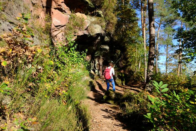 Foto: Eduard Warenik