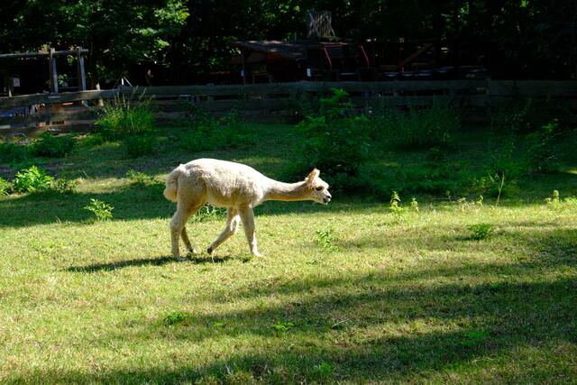 Foto: Eduard Warenik