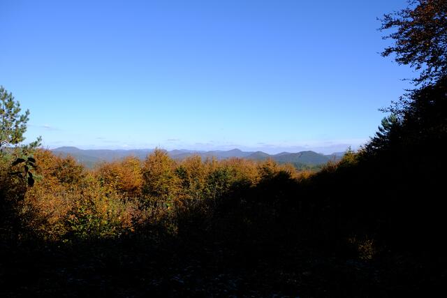 Foto: Eduard Warenik