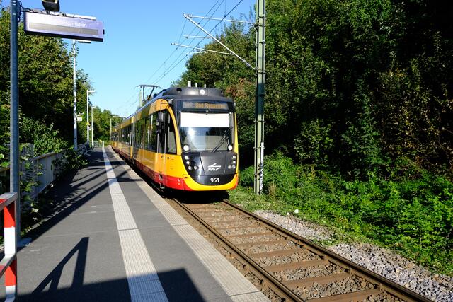 Foto: Eduard Warenik