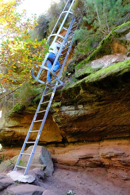 Foto: Eduard Warenik