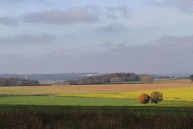 Hohenloher Ebene | Foto: Ralf Röser
