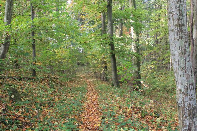 und weiter | Foto: Ralf Röser