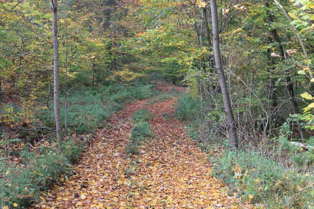 und weiter | Foto: Ralf Röser