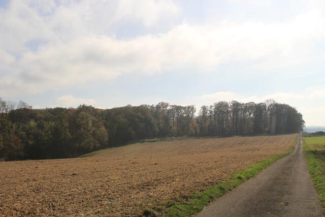 Hohenloher Ebene | Foto: Ralf Röser