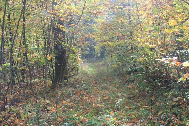 da nicht lang | Foto: Ralf Röser