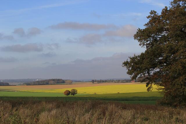 Hohenloher Ebene | Foto: Ralf Röser
