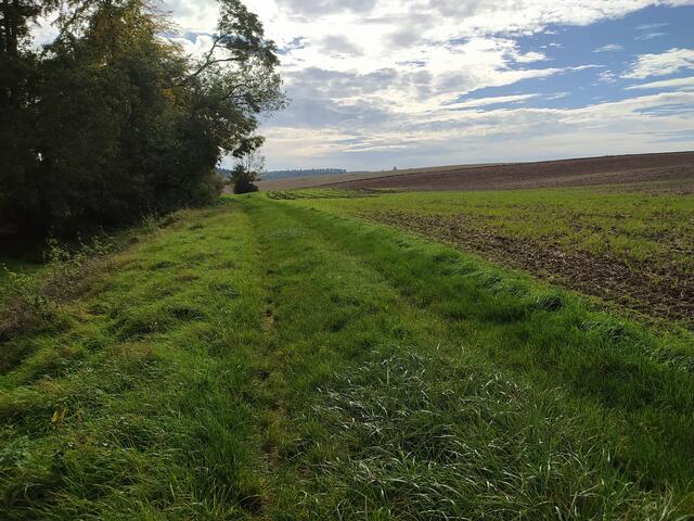 Entlang an Waldsaum und Bach | Foto: sigischlottke