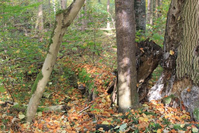 cool | Foto: Ralf Röser