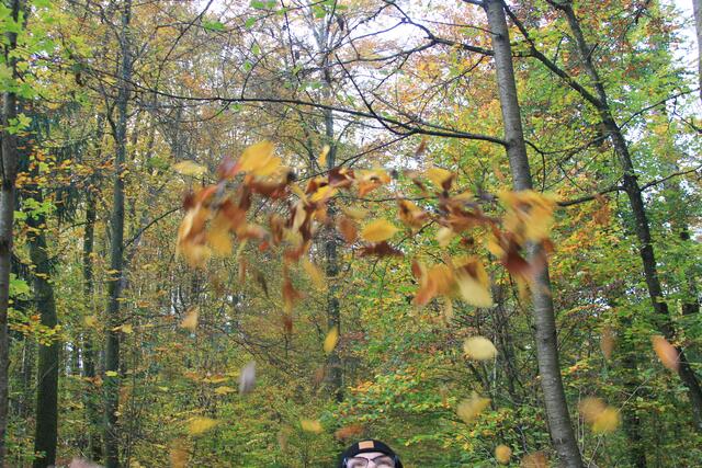 mal was versucht | Foto: Ralf Röser