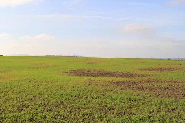 Hohenloher Ebene | Foto: Ralf Röser