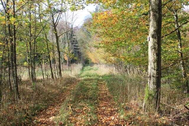 sondern da | Foto: Ralf Röser