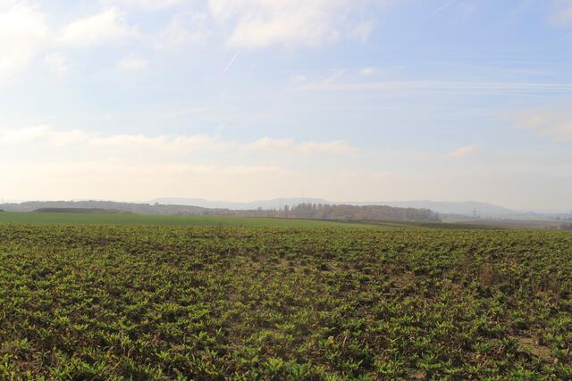 Hohenloher Ebene | Foto: Ralf Röser