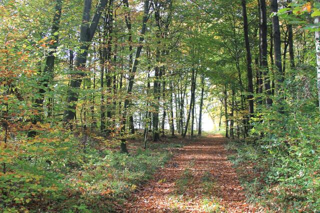 oben angekommen | Foto: Ralf Röser