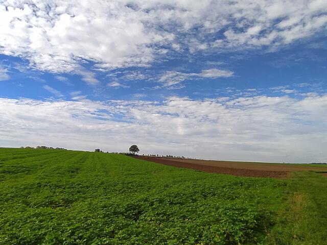 So weite Landschaft | Foto: sigischlottke