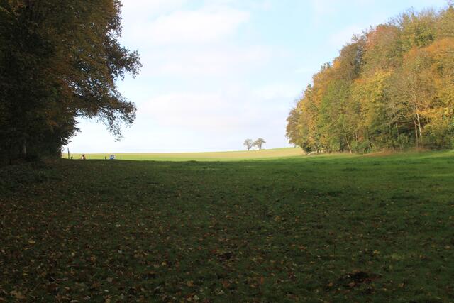 hier geht es nicht weiter- ist eingezäunt | Foto: Ralf Röser