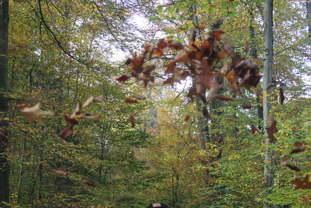 mal was versucht | Foto: Ralf Röser