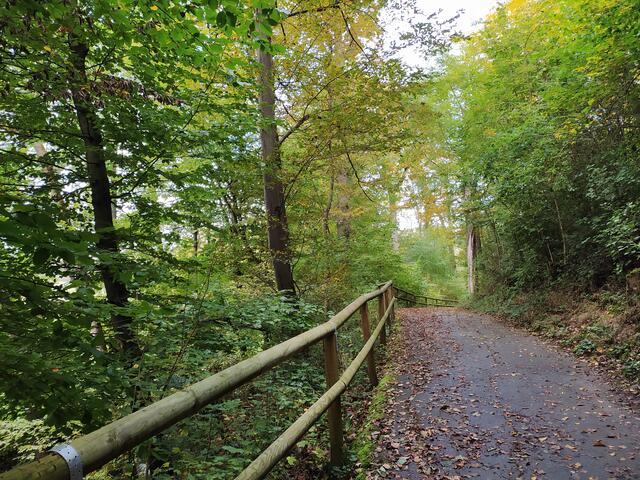 Ein bequemer Weg kurz vor Biberach.  | Foto: sigischlottke
