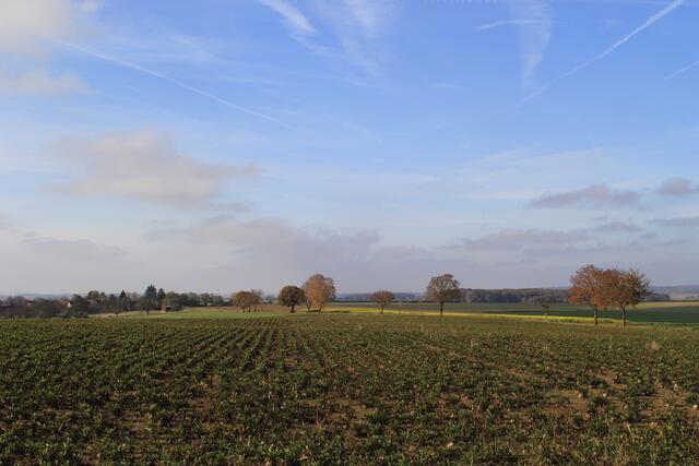 Hohenloher Ebene | Foto: Ralf Röser
