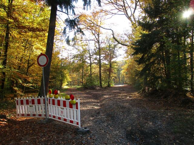 Hier ist gesperrt für eine weitere Leitung der Bodenseewasserversorgung  | Foto: WandernGabyErich