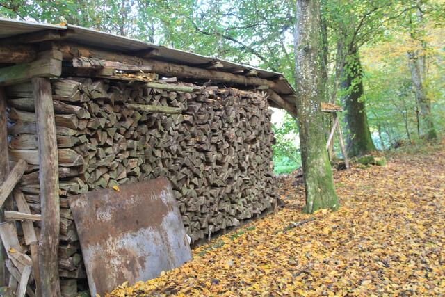 schon älter | Foto: Ralf Röser