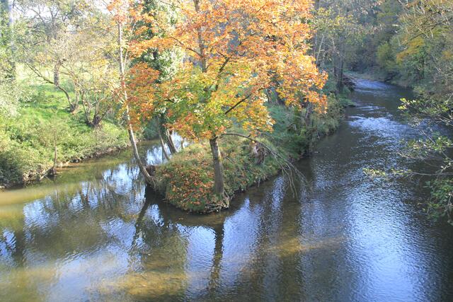 die Herbstfarben sind einfach herrlich🍁🍂😍🍂🍁- die Bühler | Foto: Ralf Röser