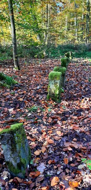 Jagdhundefriedhof | Foto: WandernGabyErich