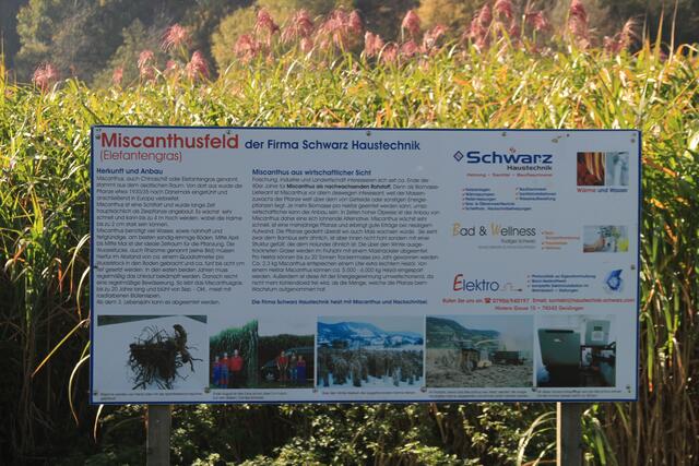 Info | Foto: Ralf Röser