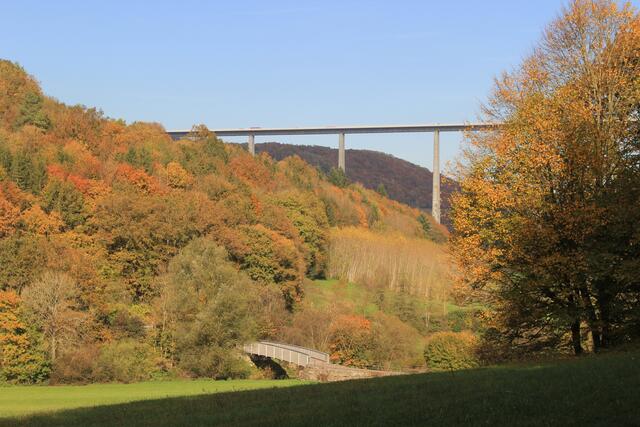 Die Herbstfarben sind einfach traumhaft🍁🍂😍🍂🍁 | Foto: Ralf Röser
