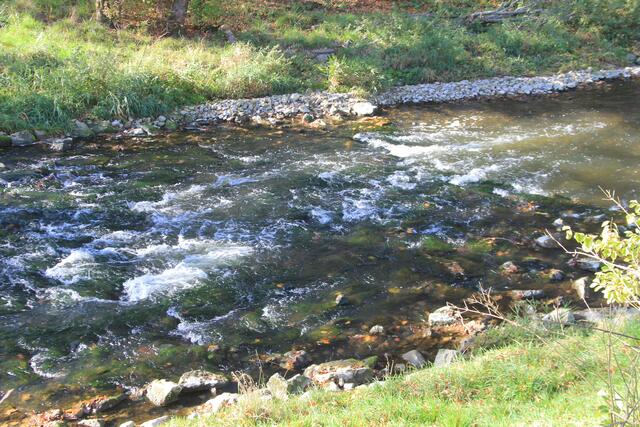 die Bühler | Foto: Ralf Röser