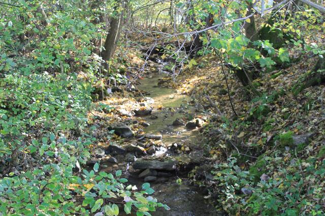 Bächle | Foto: Ralf Röser