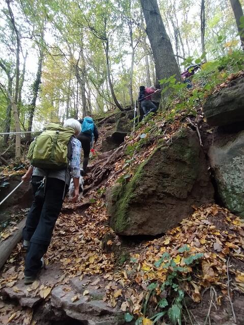 Hier geht's steil bergauf - puuuh, ganz schön anstrengend.  | Foto: sigischlottke