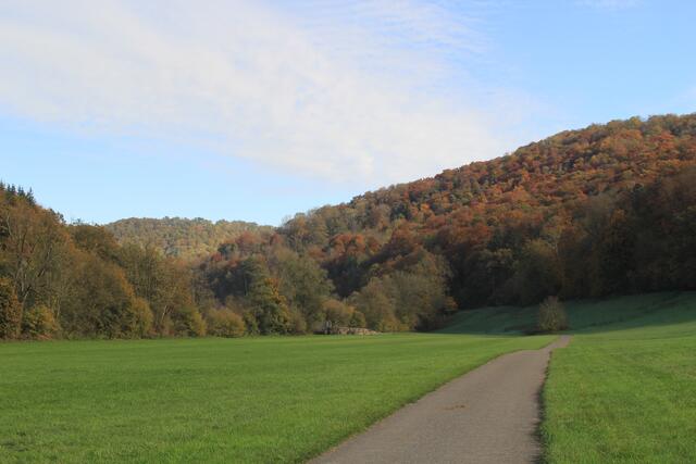 Die Herbstfarben sind einfach traumhaft🍁🍂😍🍂🍁 | Foto: Ralf Röser