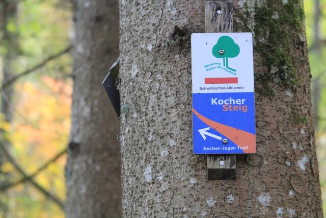 Info | Foto: Ralf Röser