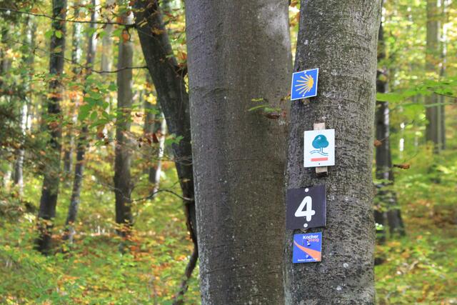 Info | Foto: Ralf Röser