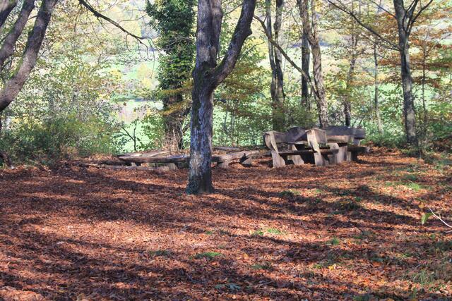 die Herbstfarben sind einfach herrlich🍁🍂😍🍂🍁- Grillplatz | Foto: Ralf Röser