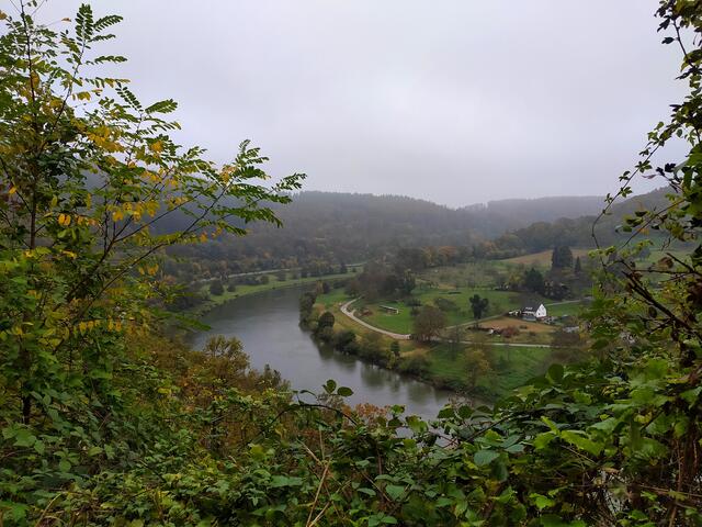 Ausblicke auf den Neckar und die nebelverhangenen Hügel des Odenwalds.  | Foto: sigischlottke