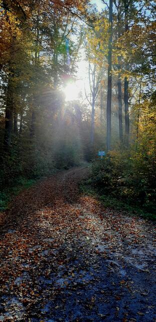 Mystische Stimmung beim Zigeunerfohrle | Foto: WandernGabyErich