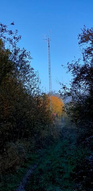 Im Herbst hat der Himmel ein besonderes Blau und die Bäume leuchten | Foto: WandernGabyErich