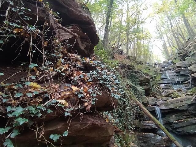 Es sieht hier wild und idyllisch aus | Foto: sigischlottke